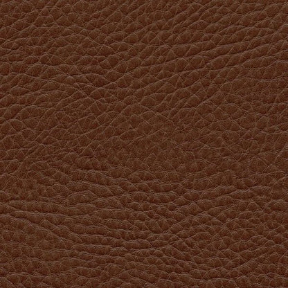 Kunstledervariante: Omega 2 marone 
