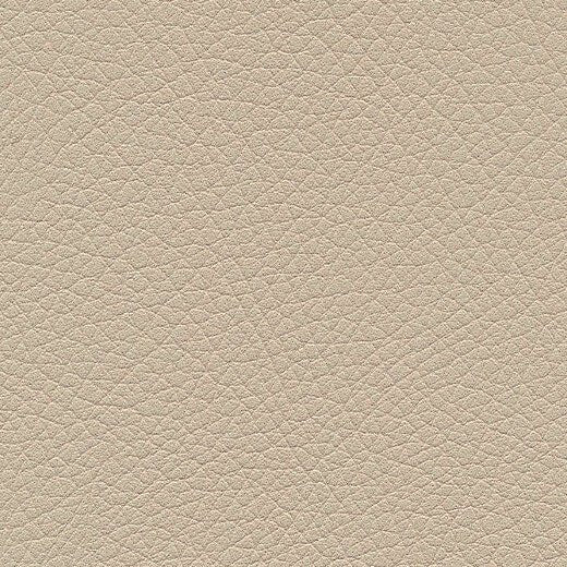 Kunstledervariante:  Amarena birch