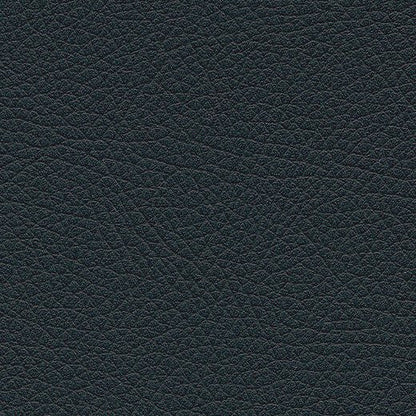 Kunstledervariante:  Amarena black