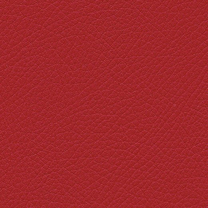 Kunstledervariante:  Amarena cherry