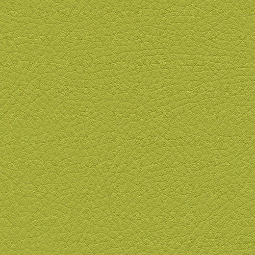 Kunstledervariante:  Amarena lime