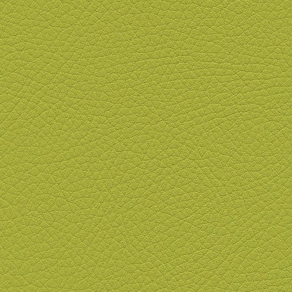 Kunstledervariante:  Amarena lime
