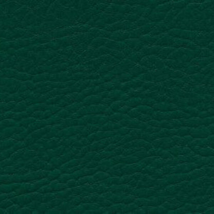 Kunstleder: Omega Rainforest