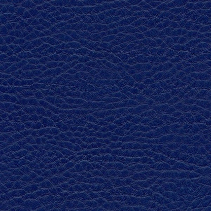 Kunstledervariante: Omega royal